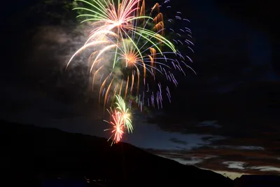 DSC_3342 (Large).JPG